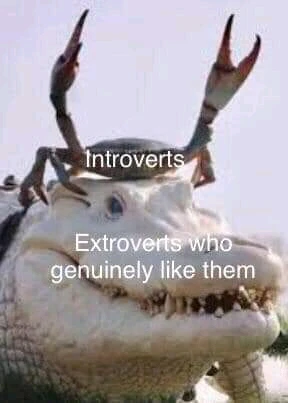 Introverts always gets adopted by Extroverts and It is literally this