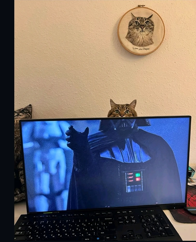 GIF uploaded by Subh