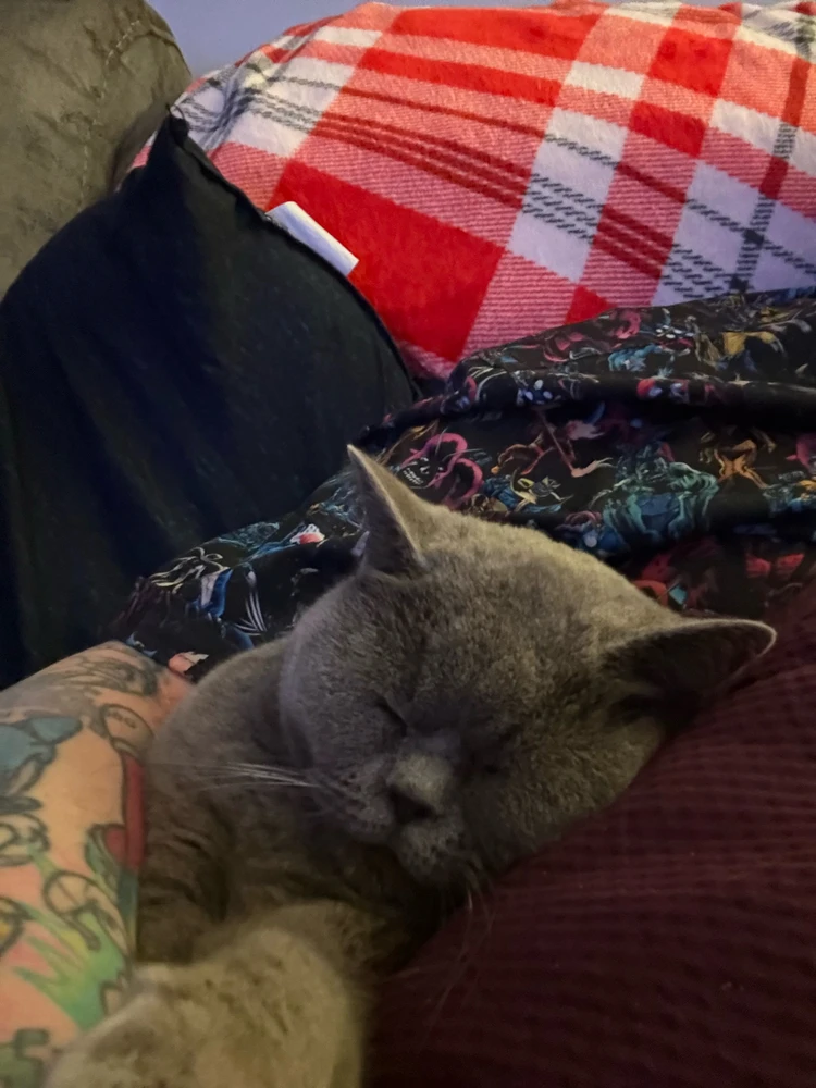 Saturday night cuddles