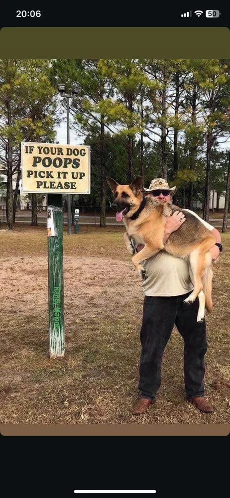 GIF nahral tosassamoj