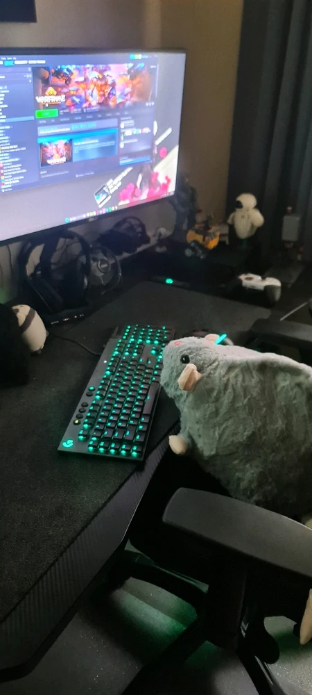 There's a rat in my house.