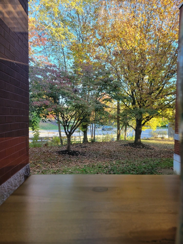 GIF uploaded by Kristina