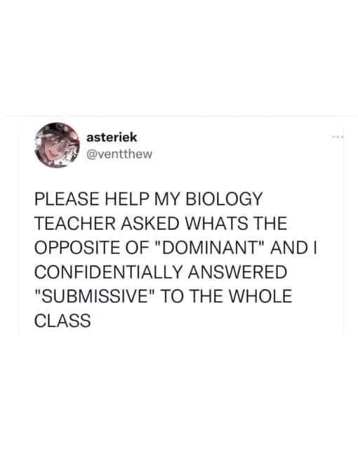 GIF uploaded by Paladin
