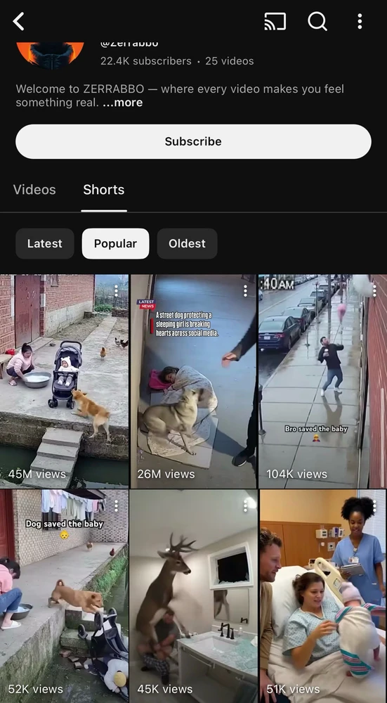 So sad that millions of people are being tricked by AI videos