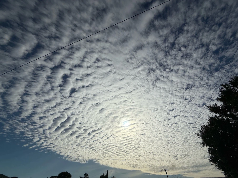 GIF uploaded by Shan