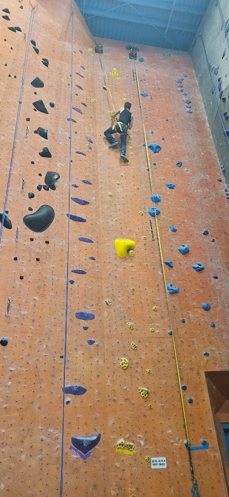 Image uploaded by Brian J