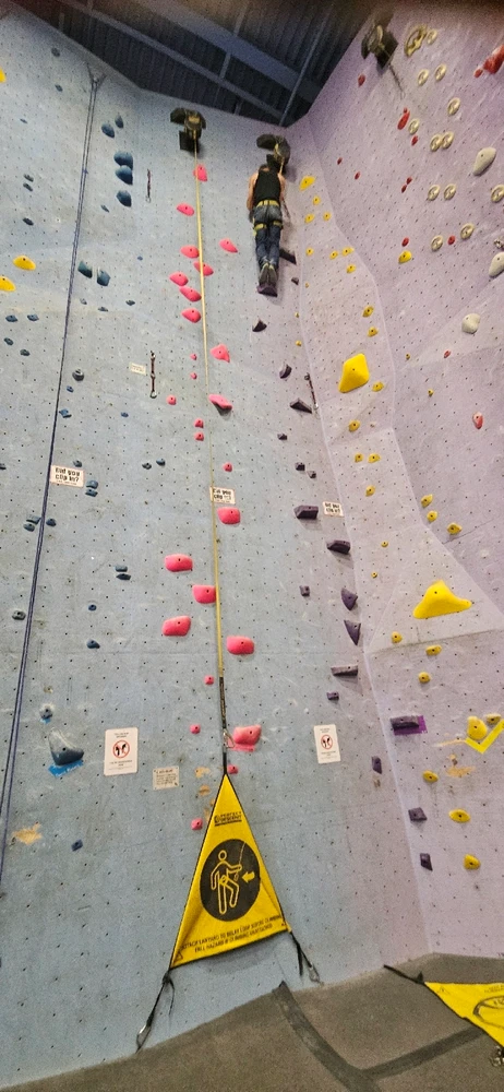 Image uploaded by Brian J