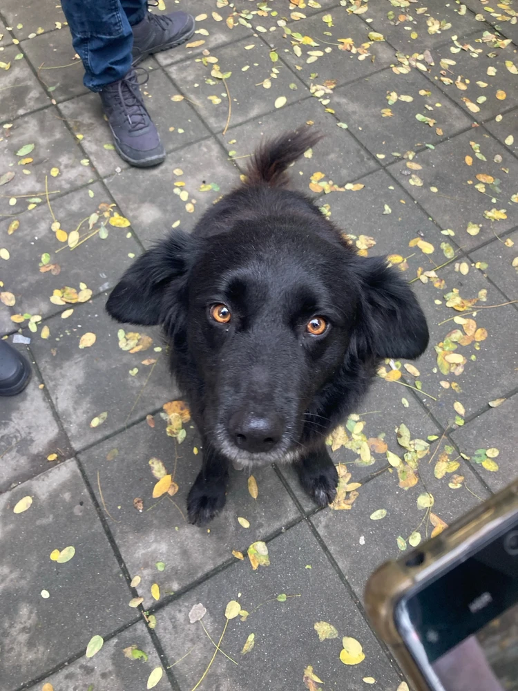 This is Karelia yall