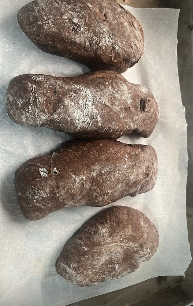 I had a taste for ciabatta! Don’t add chocolate powder to the dough. Chocolate donuts were a win!!