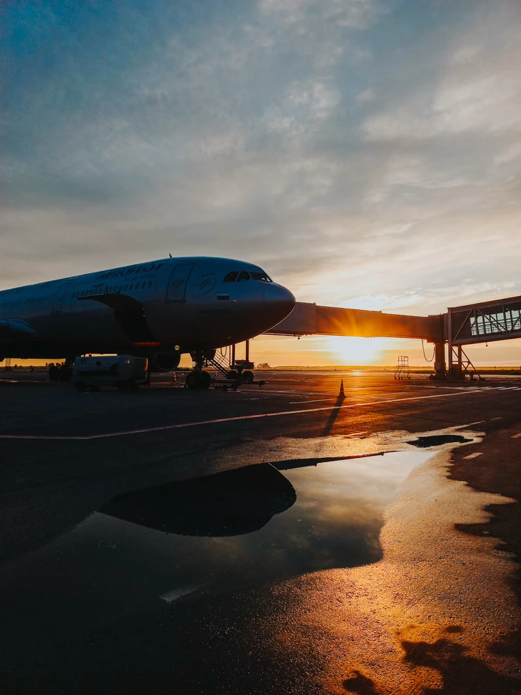 Image uploaded by Kseniia