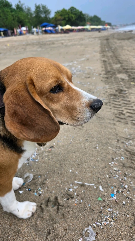 Thalassophile💙💚🩷