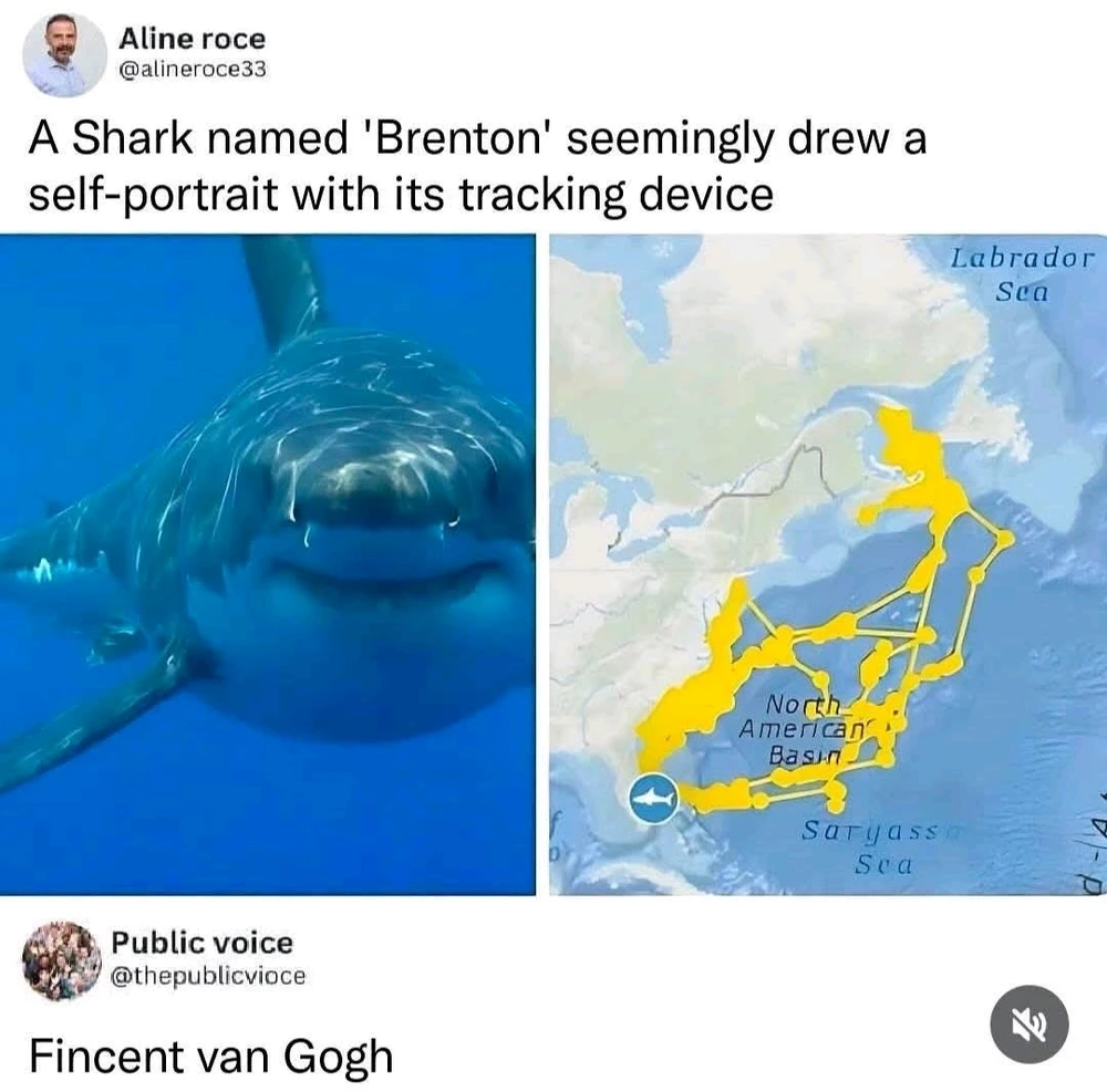 I laughed again, after 2 weeks. I thought it would take longer.