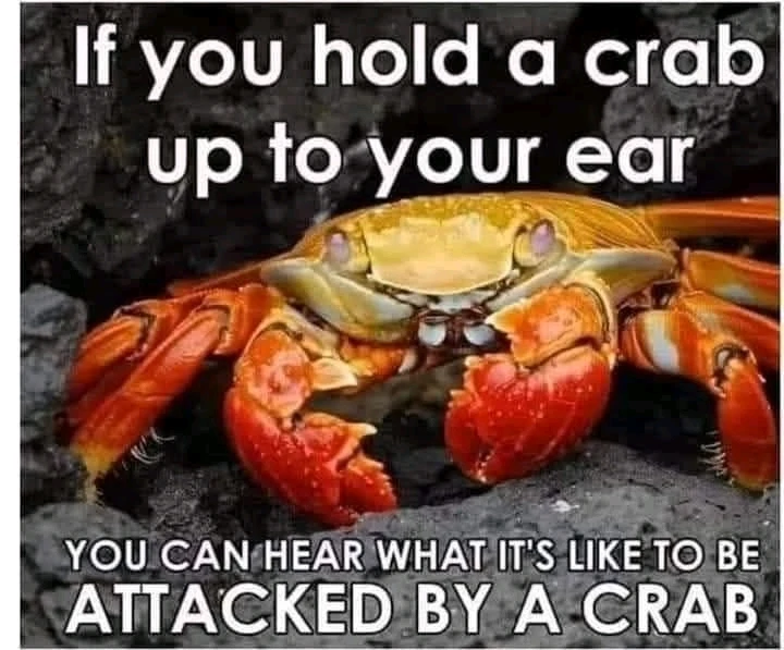 I laughed again, after 2 weeks. I thought it would take longer.