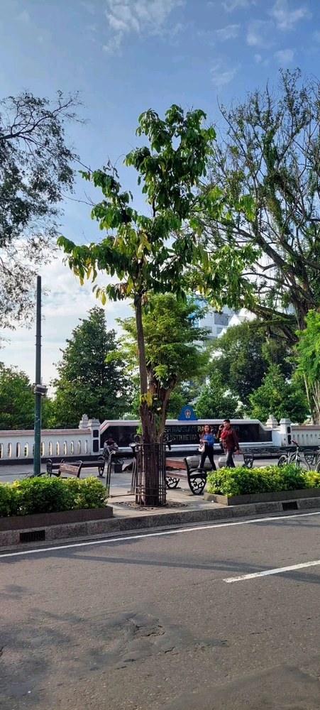 Image uploaded by Decy