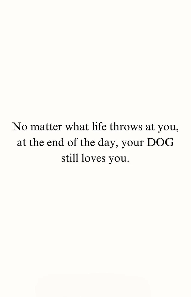 We don’t deserve dogs.