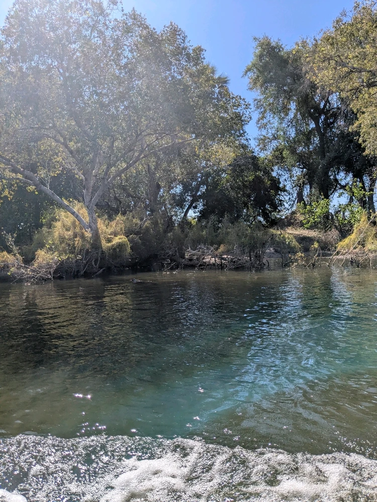 Boat rides be hitting different