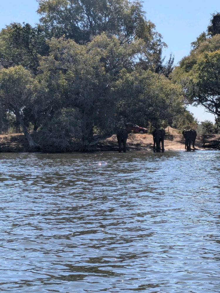 Boat rides be hitting different