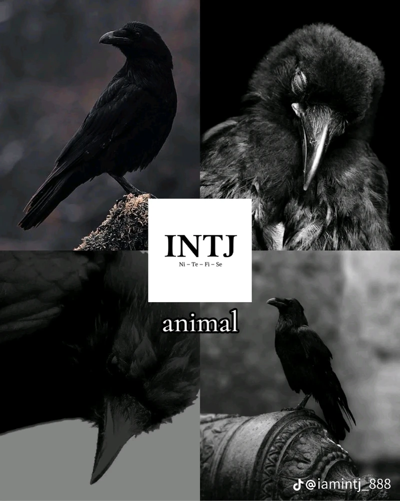 Image uploaded by John