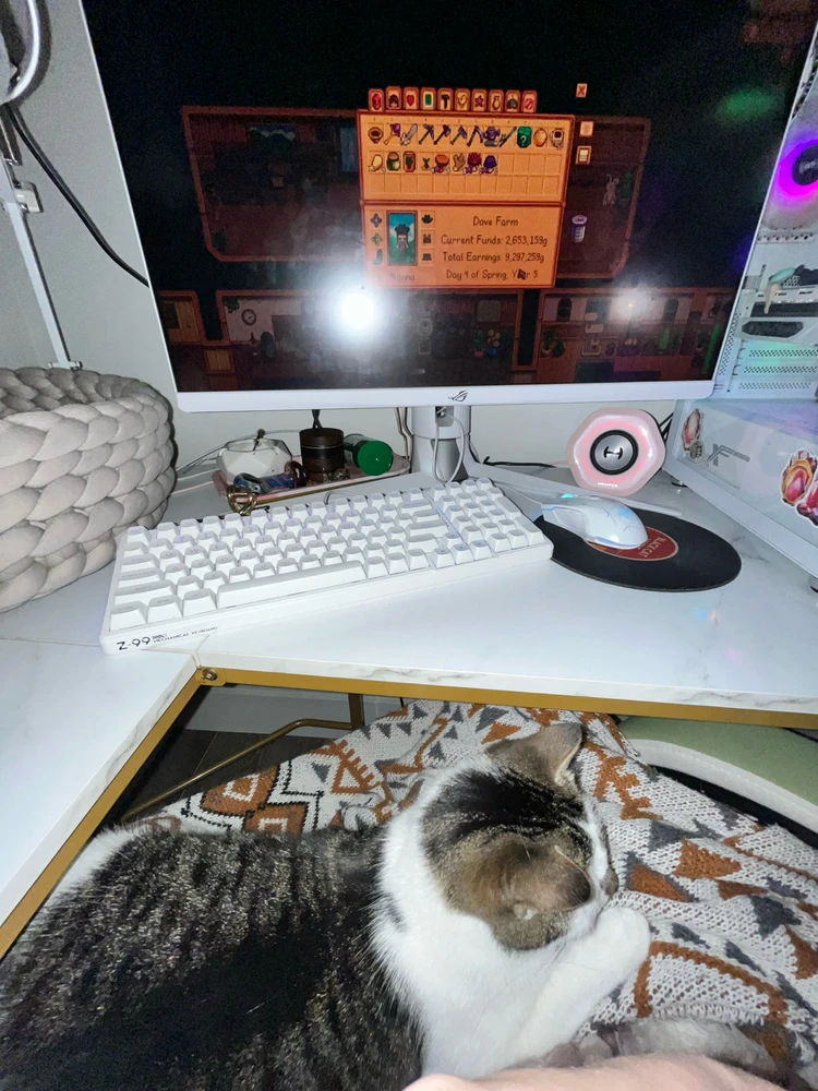 Stardew Valley and kitty cuddles