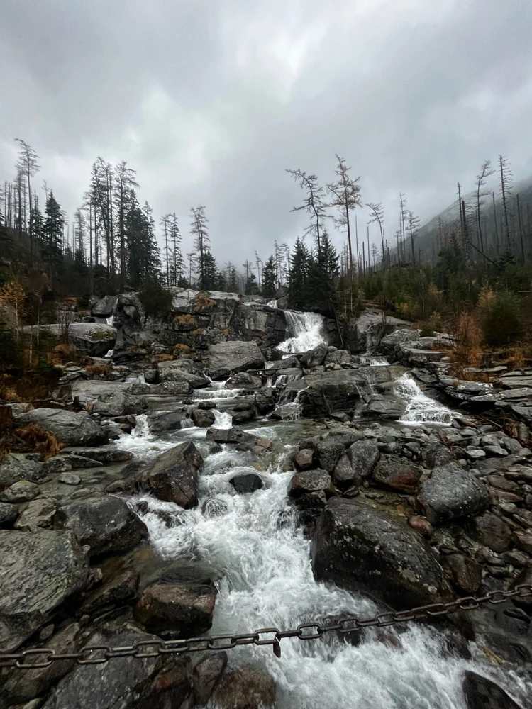 Fotku nahral/-a Kiko