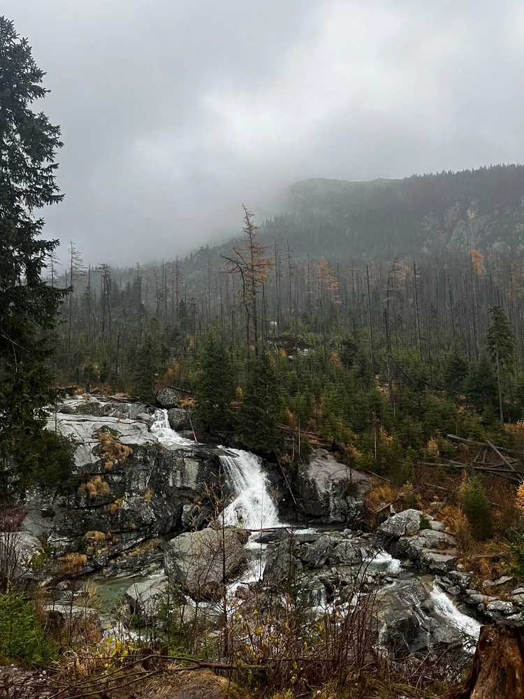 Fotku nahral/-a Kiko