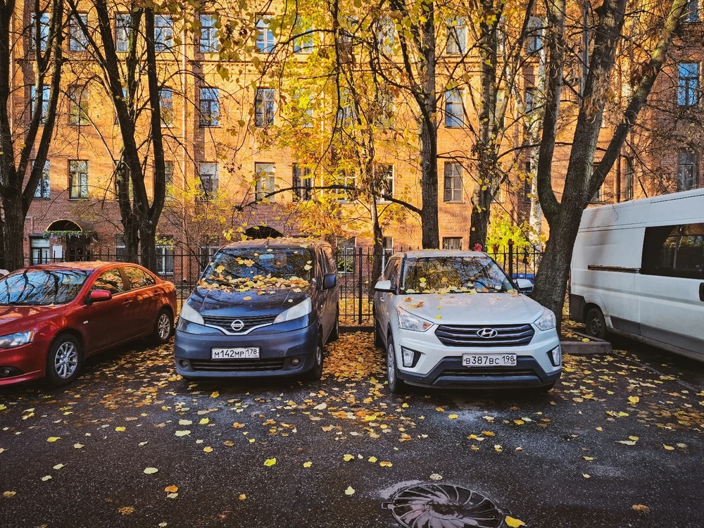 Ноябрьский листопад