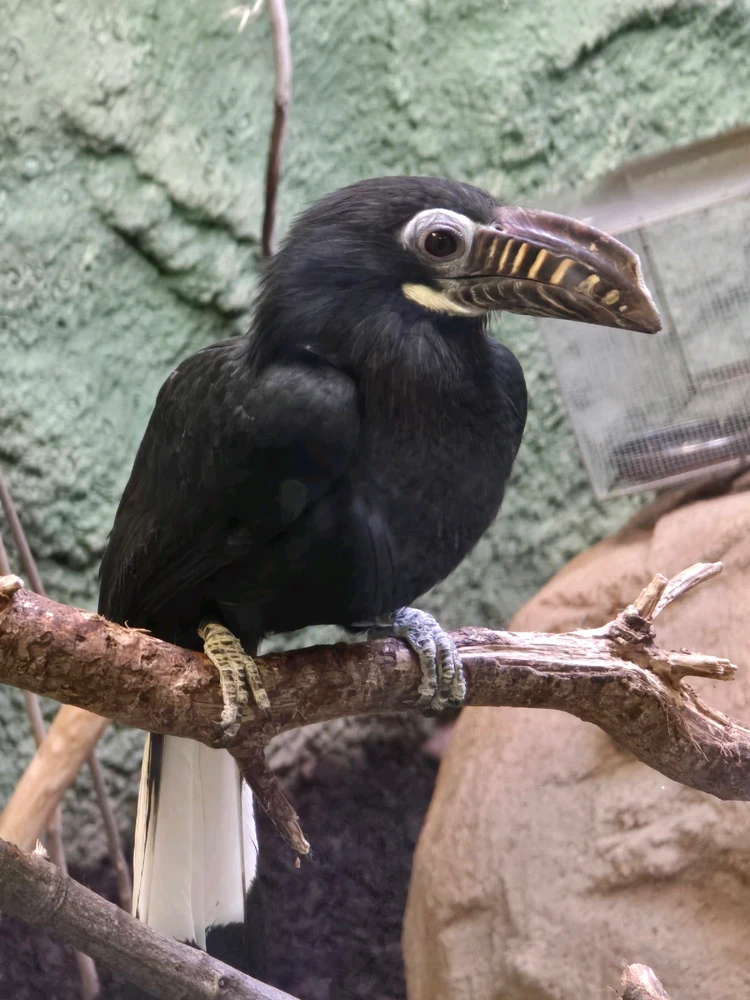 Besuch im Dresdener Zoo