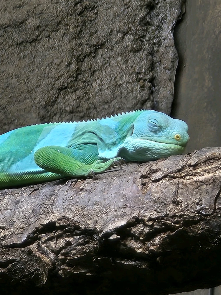 Besuch im Dresdener Zoo