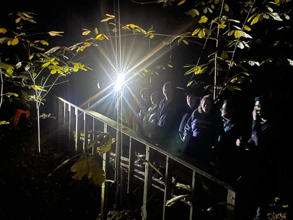 Night Hike @ Rocky Bluff