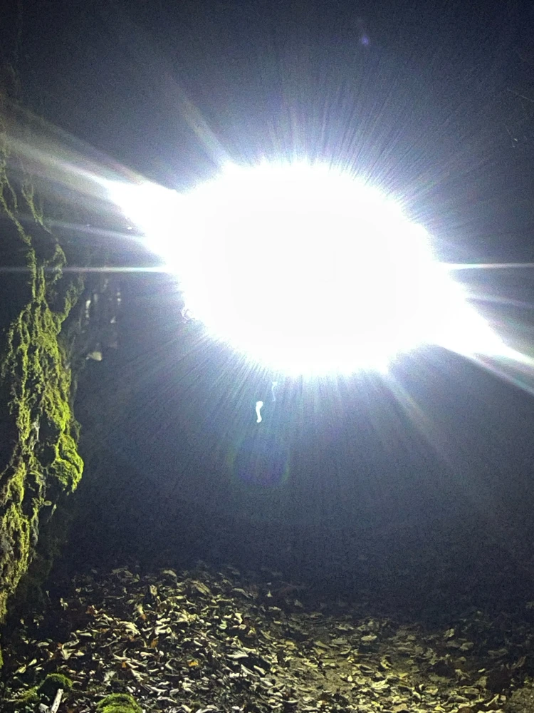 Night Hike @ Rocky Bluff