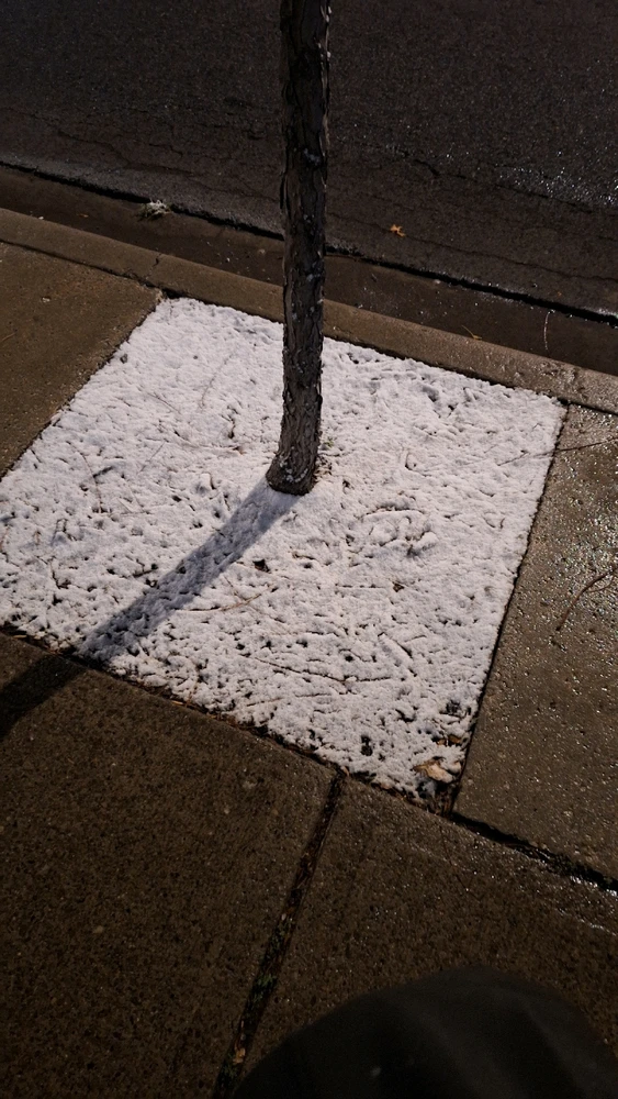 Image uploaded by Jordan