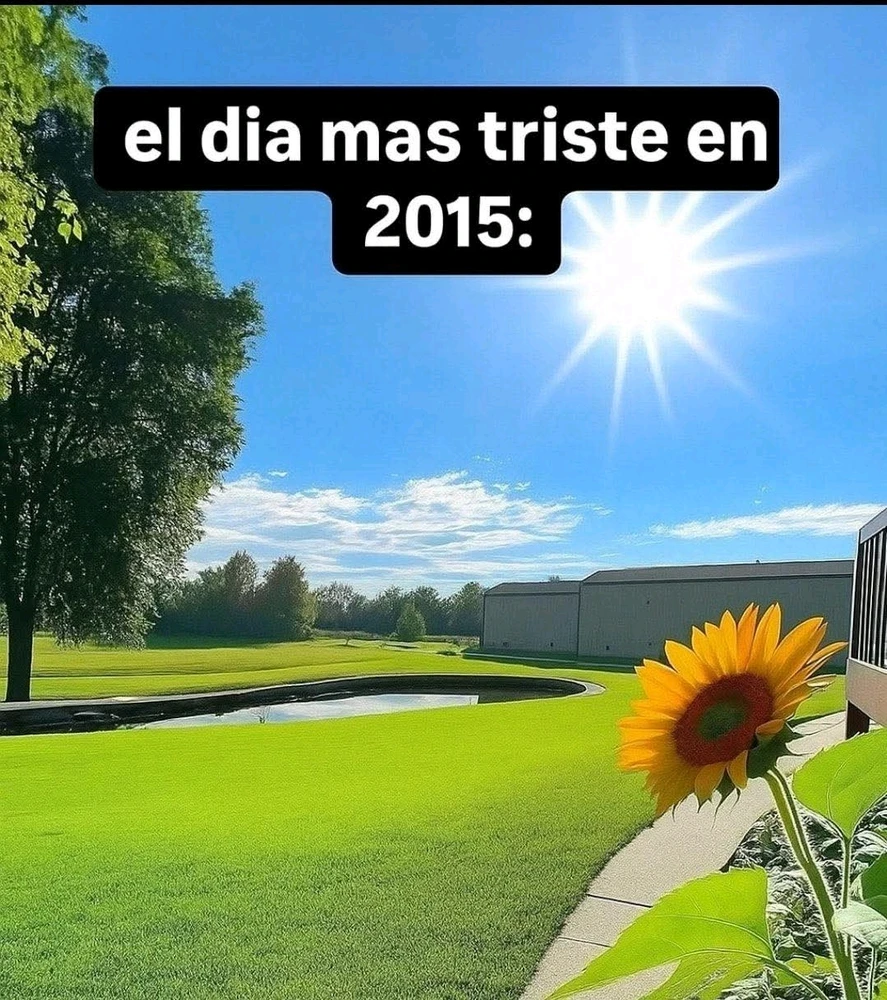 Es gracioso porque es cierto xd