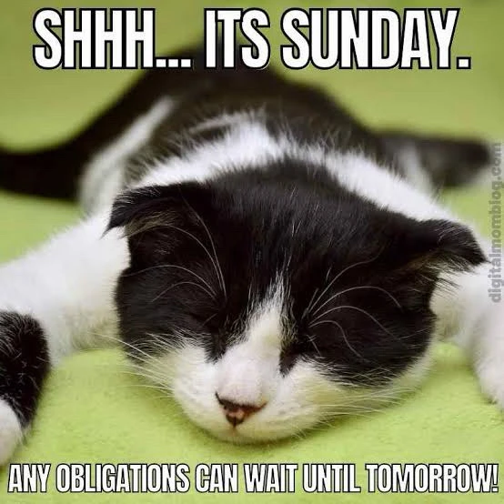 Sunday funday! Have a relaxing, kick ass day!