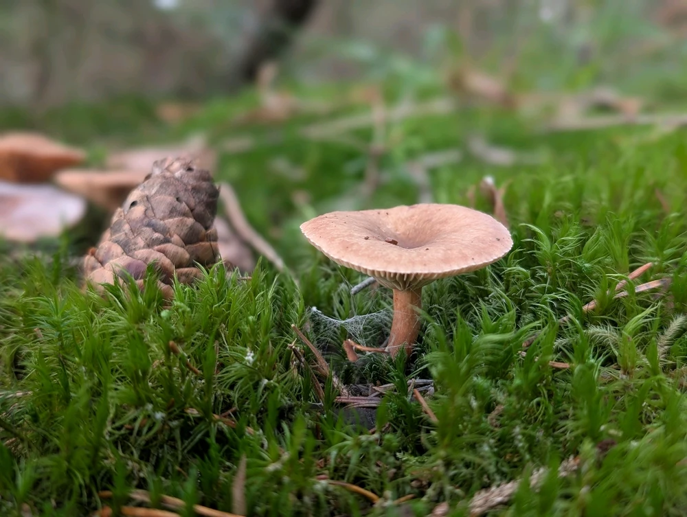 Image ajoutée par Sébastien