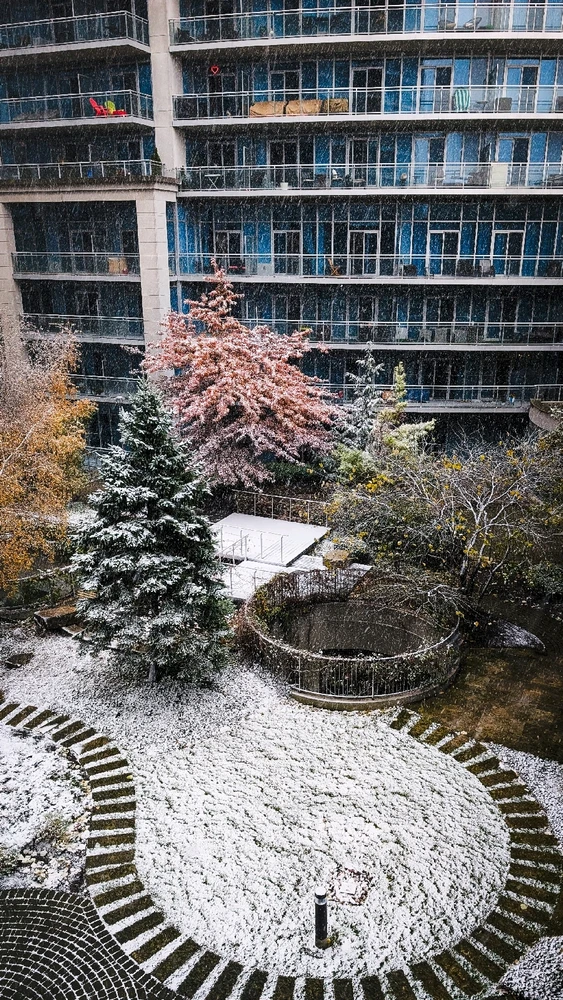 Image uploaded by Dana