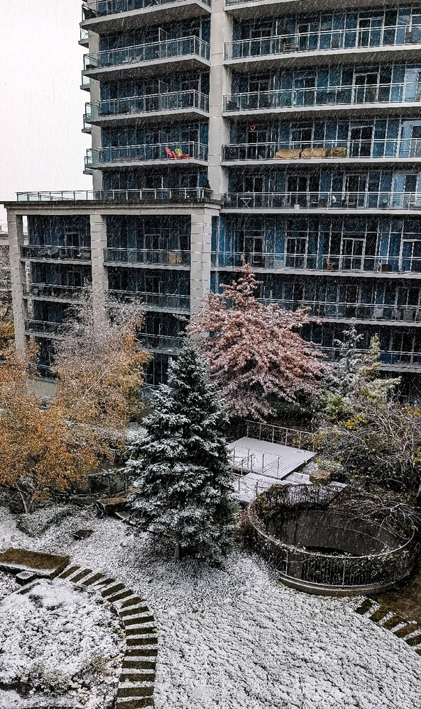 Image uploaded by Dana