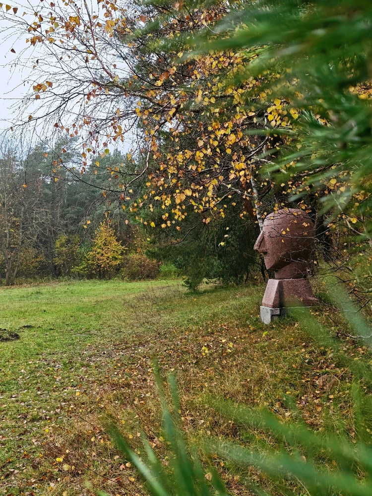 Guardian of the woods