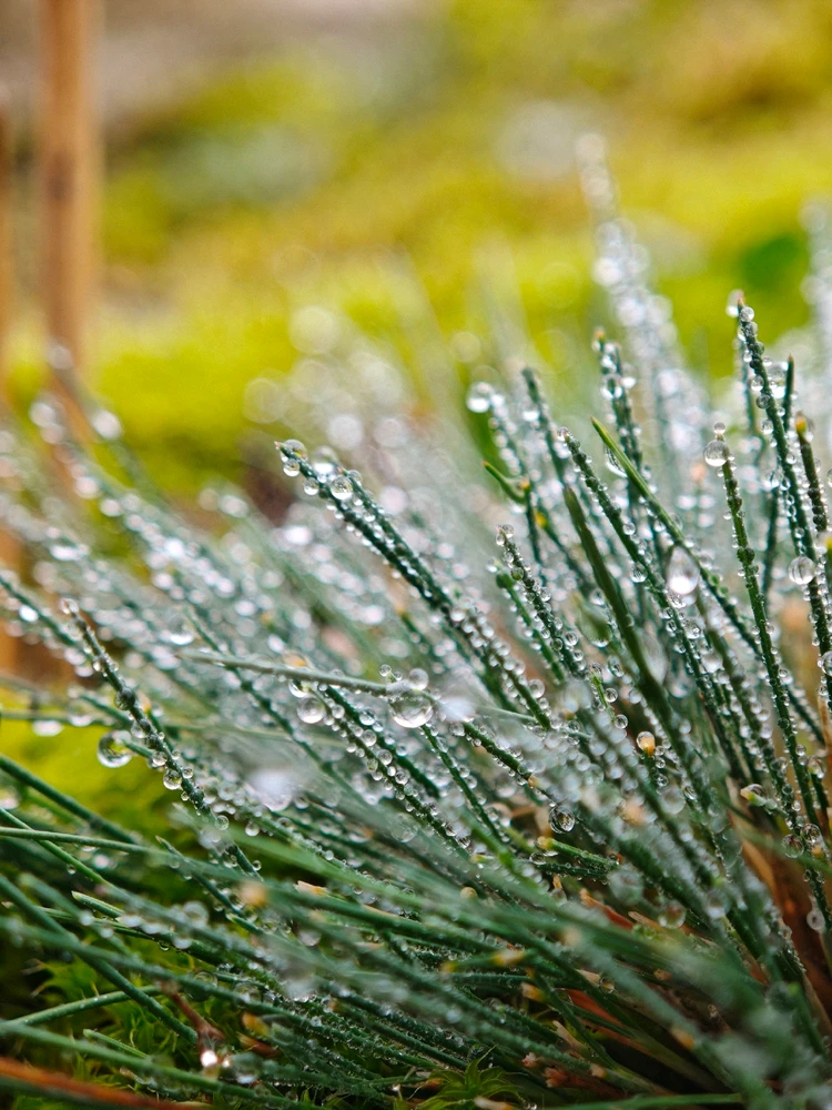 Beautiful autumn 🍁🍂