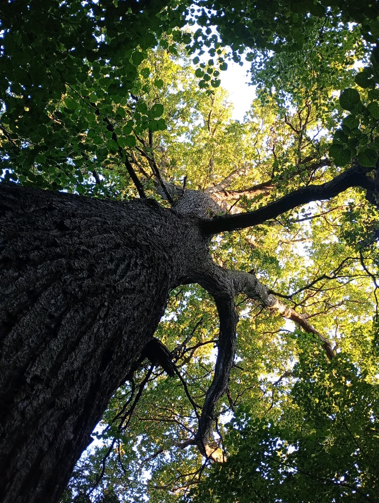 GIF uploaded by Kaela