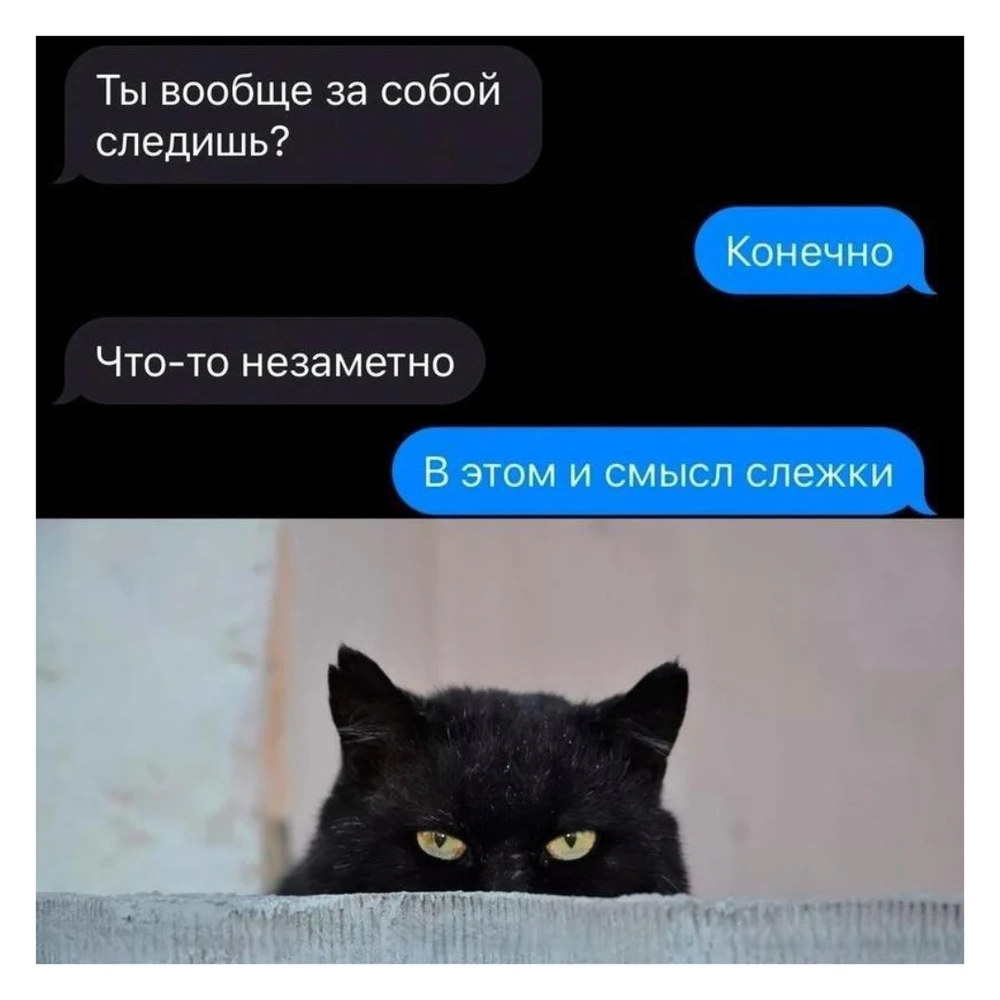 GIF загрузил Casablanca