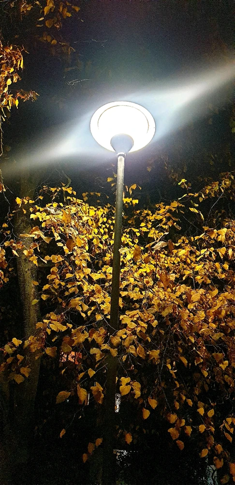 Осенний вечер