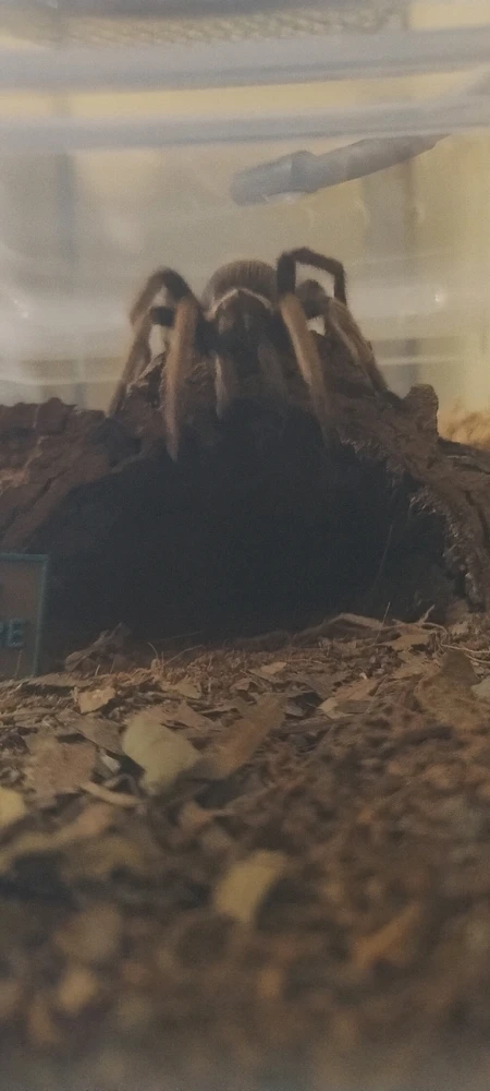 GIF uploaded by Matt