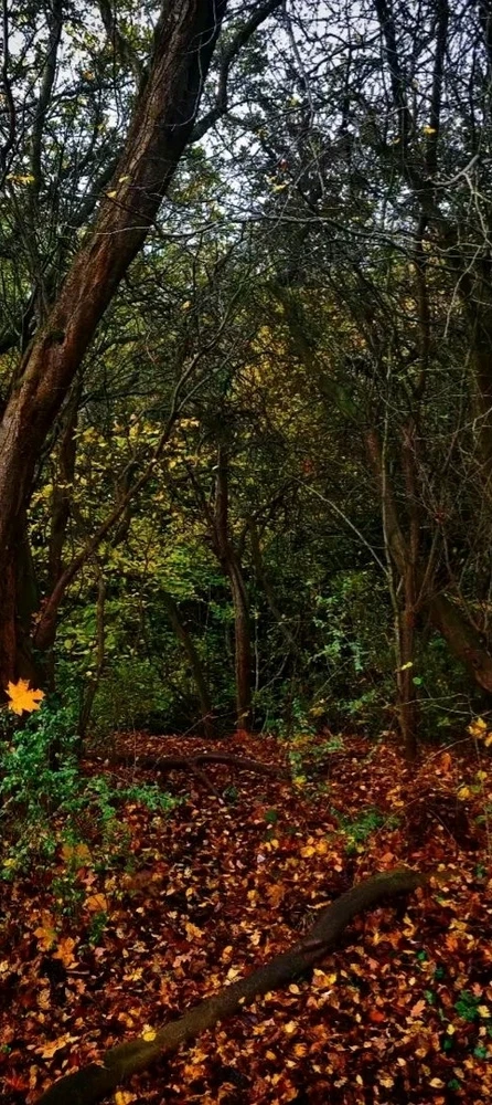 GIF uploaded by David