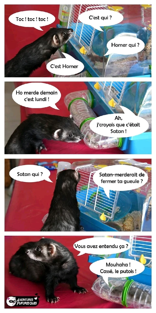 Courage pour demain 😅