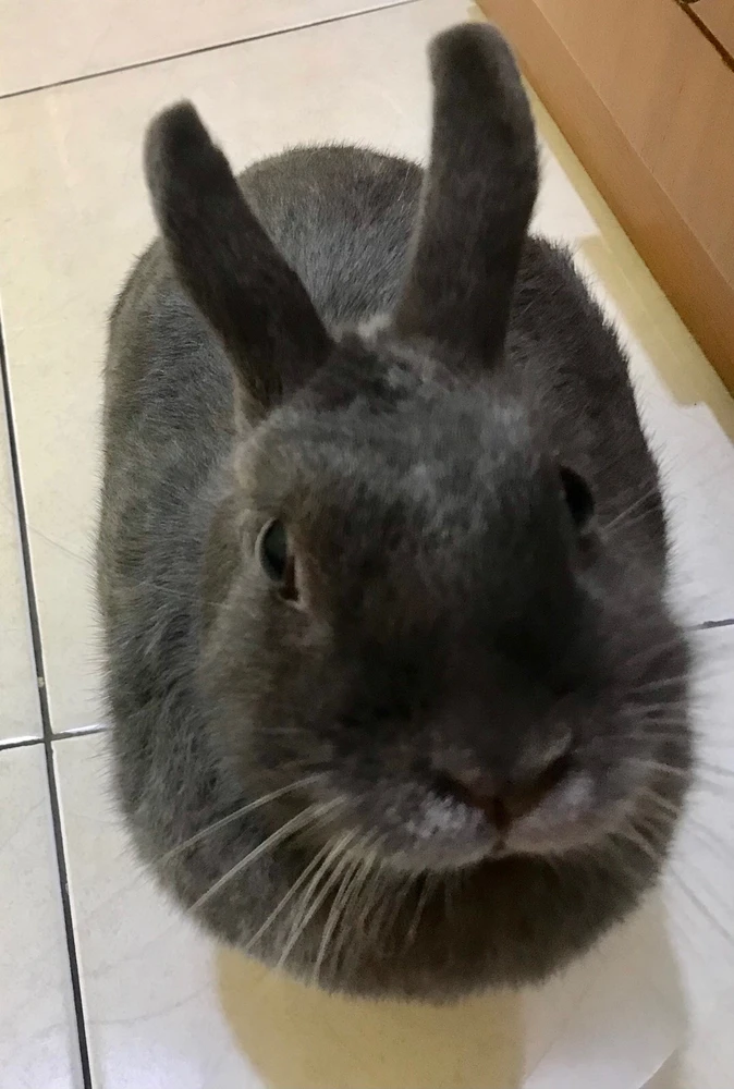 GIF uploaded by Fitry