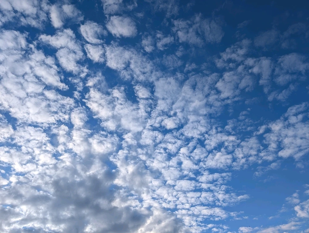 Image uploaded by Graeme