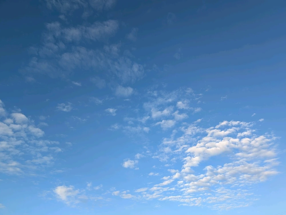 Image uploaded by Graeme