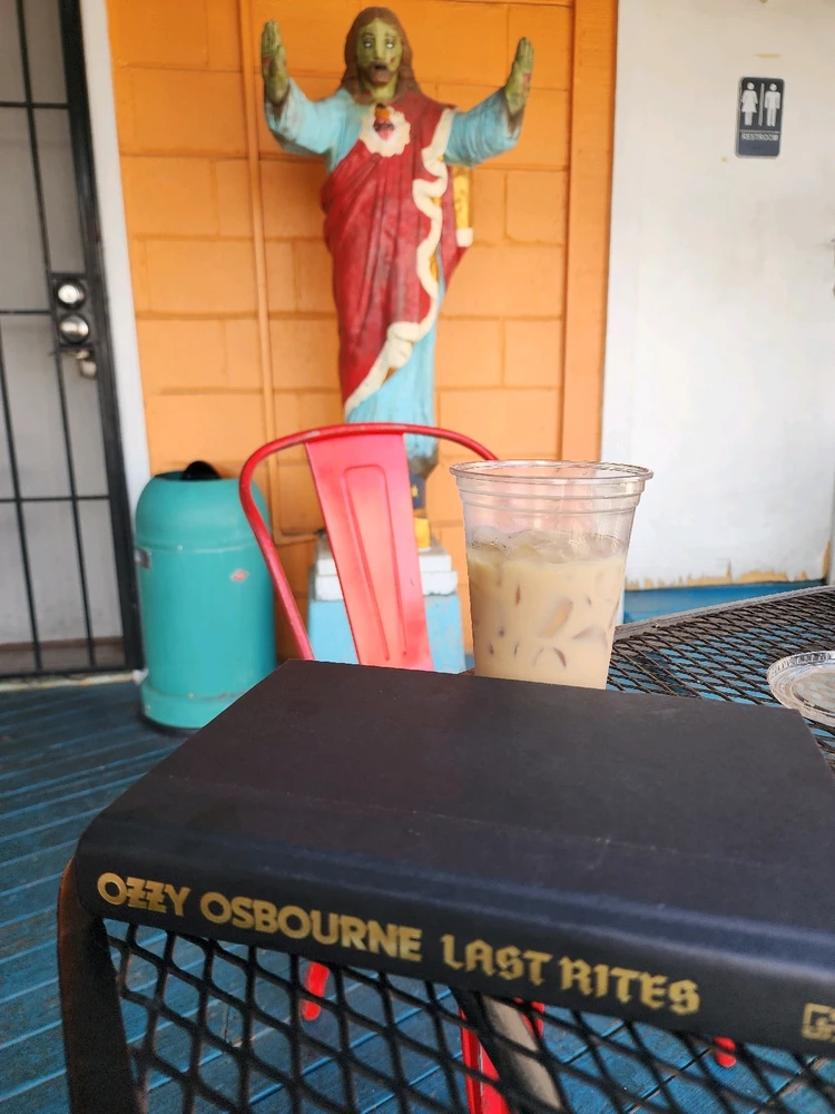 Ozzy Last Rites another great Ozzy read and sadly the last :/