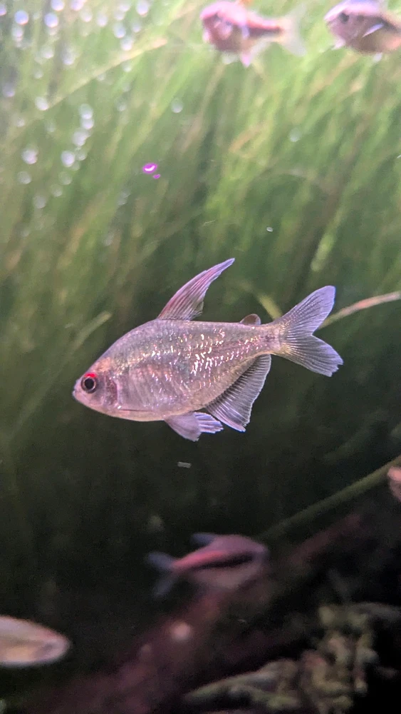 王森 上傳的 GIF