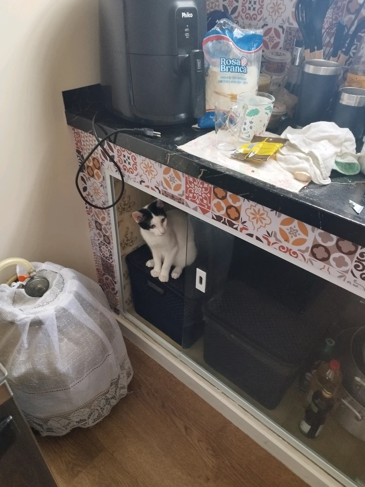 GIF enviado por Marcio Henrique